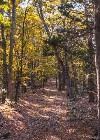 $455,000 | 0 County Road 4055, Rhineland, MO 65069