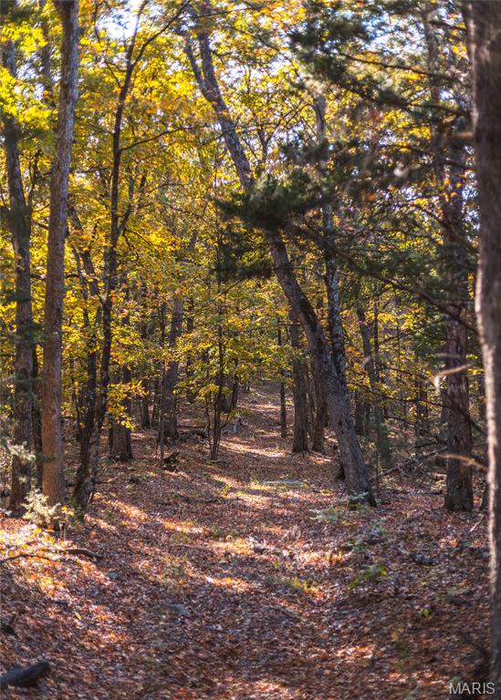 0 County Road 4055 Rhineland, MO 65069 - Photo 13 of 50