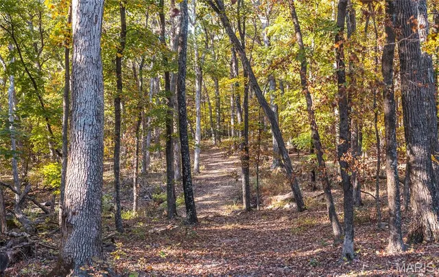 $455,000 | 0 County Road 4055, Rhineland, MO 65069