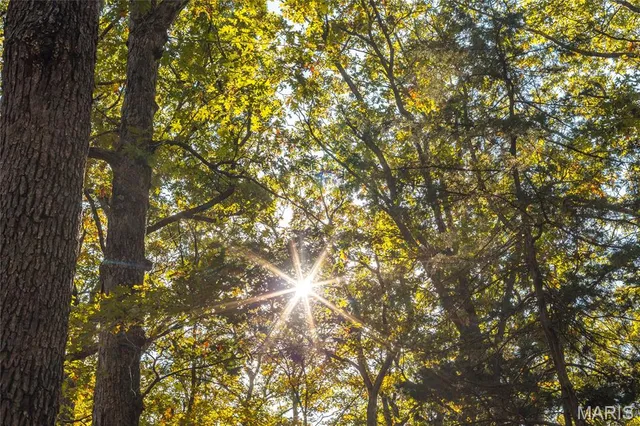 $455,000 | 0 County Road 4055, Rhineland, MO 65069