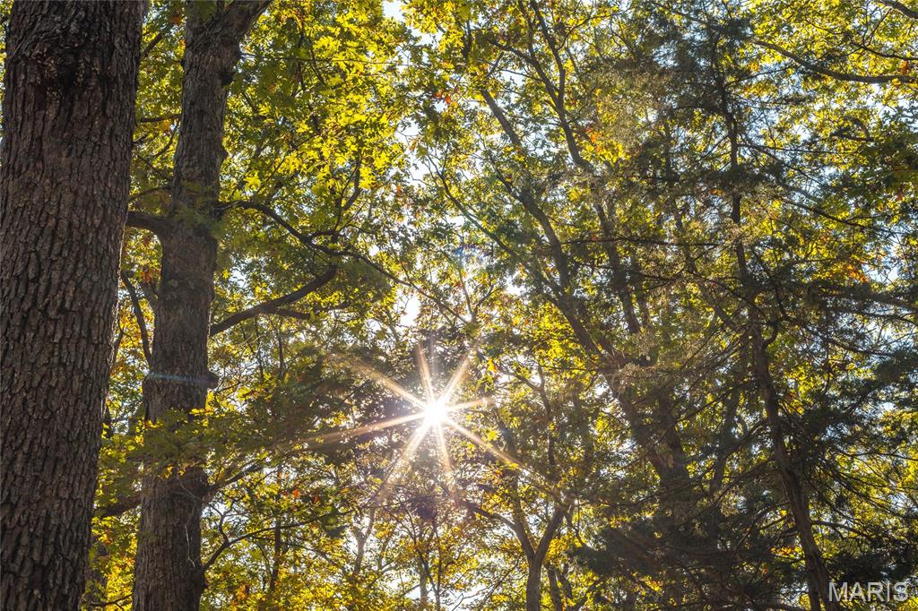 0 County Road 4055 Rhineland, MO 65069 - Photo 17 of 50