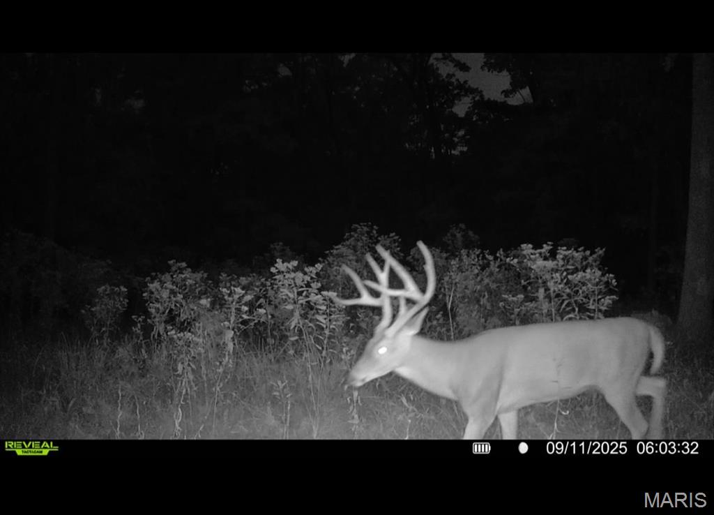 0 County Road 4055 Rhineland, MO 65069 - Photo 18 of 50