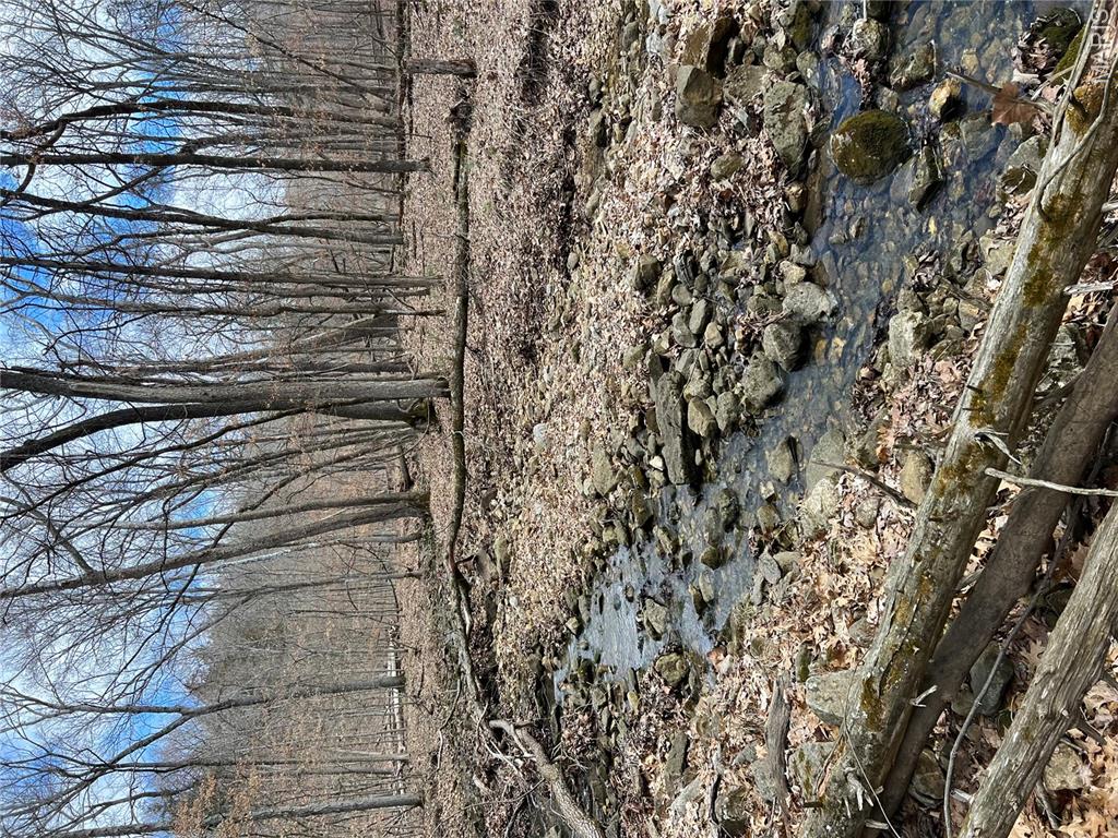 0 County Road 4055 Rhineland, MO 65069 - Photo 20 of 50