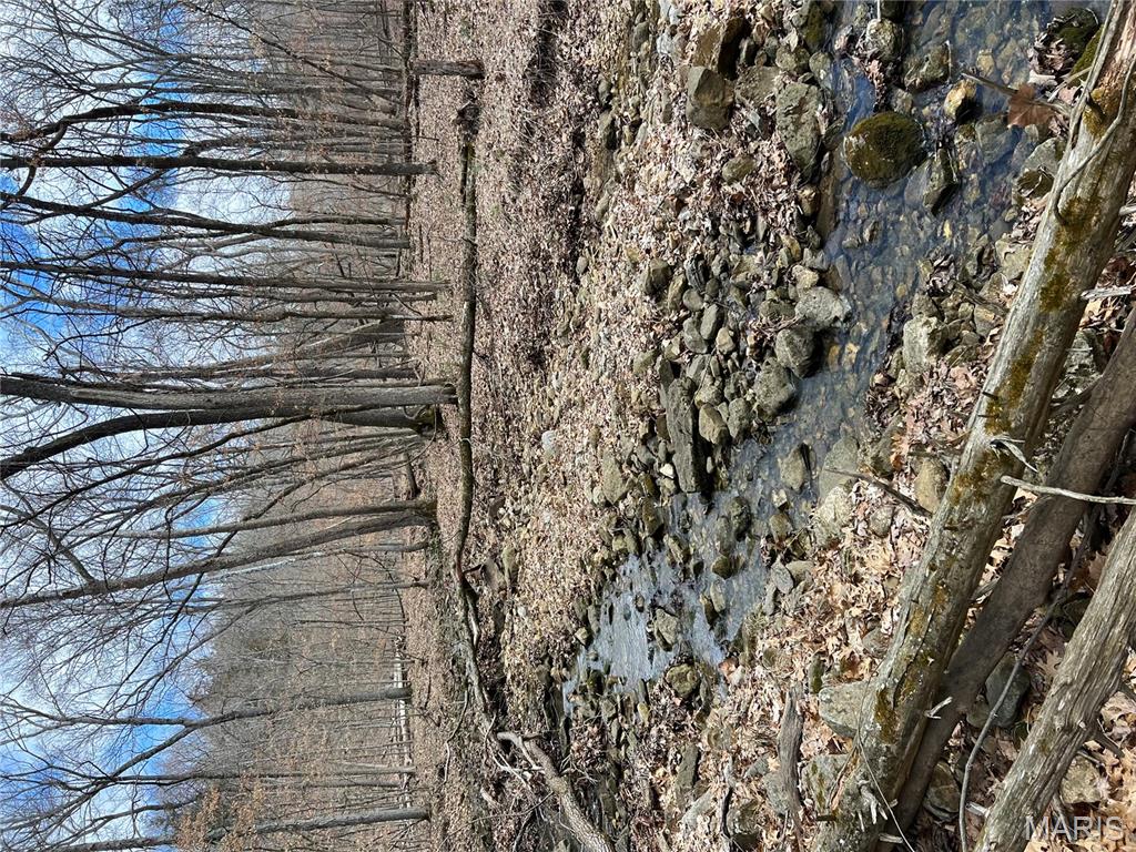 0 County Road 4055 Rhineland, MO 65069 - Photo 20 of 50