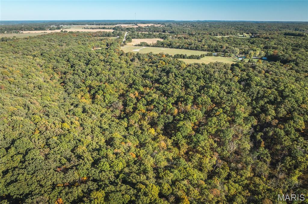 0 County Road 4055 Rhineland, MO 65069 - Photo 2 of 50