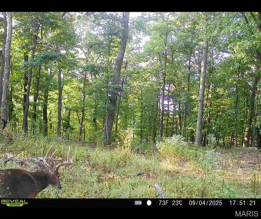 $455,000 | 0 County Road 4055, Rhineland, MO 65069