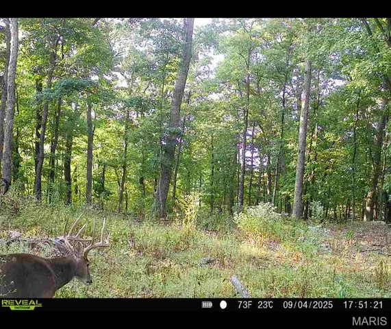 $455,000 | 0 County Road 4055, Rhineland, MO 65069