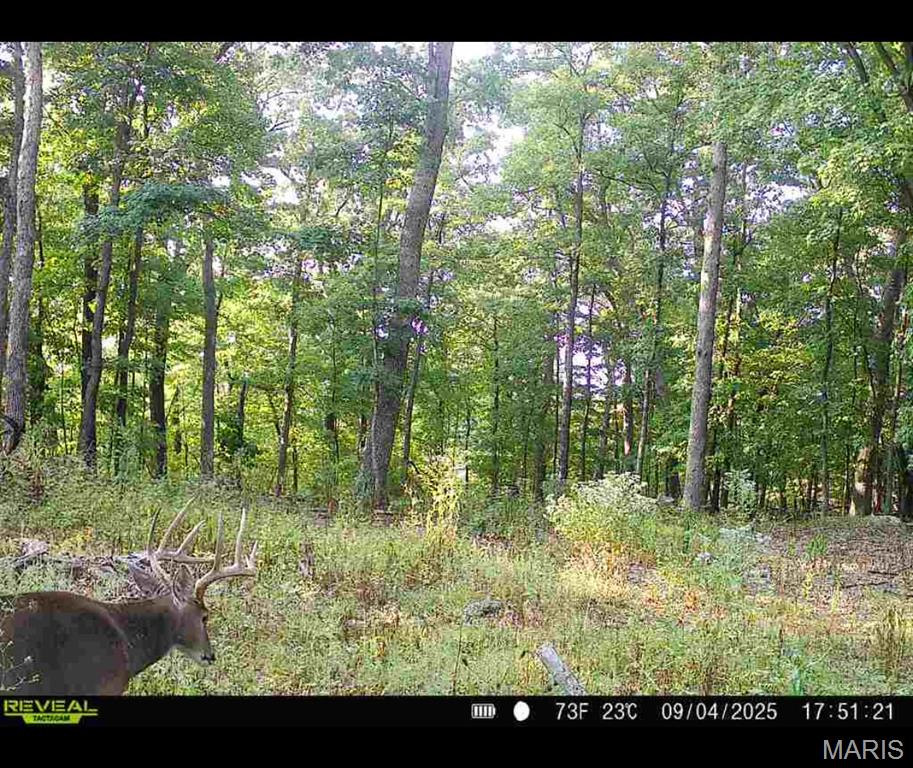 0 County Road 4055 Rhineland, MO 65069 - Photo 21 of 50