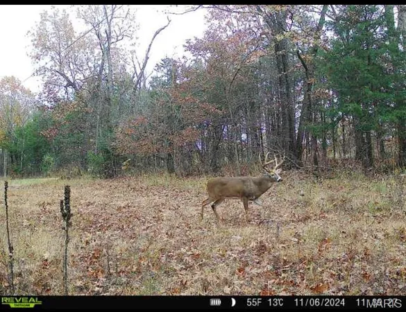 $455,000 | 0 County Road 4055, Rhineland, MO 65069