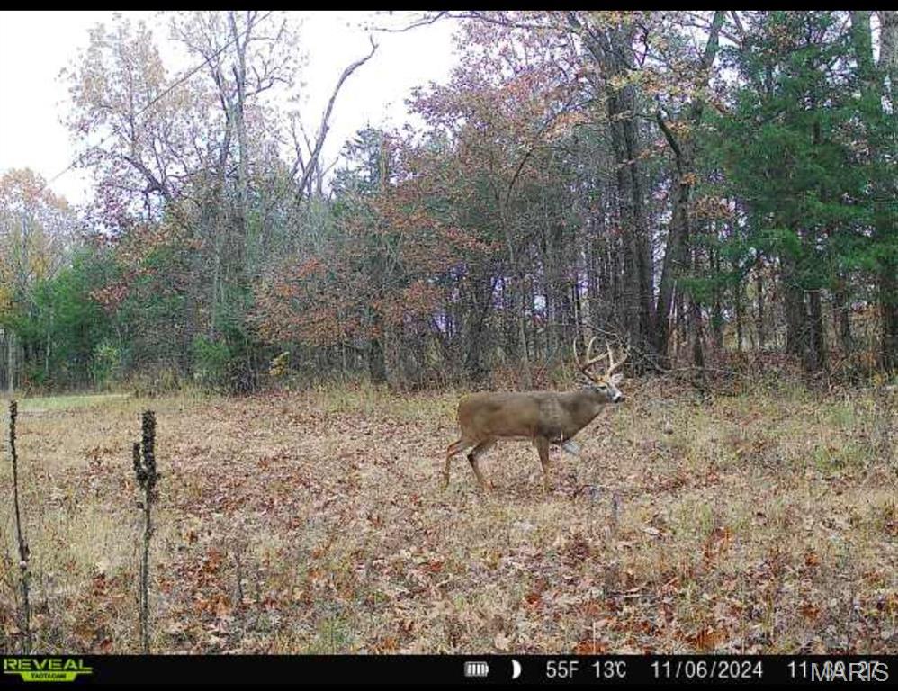 0 County Road 4055 Rhineland, MO 65069 - Photo 22 of 50
