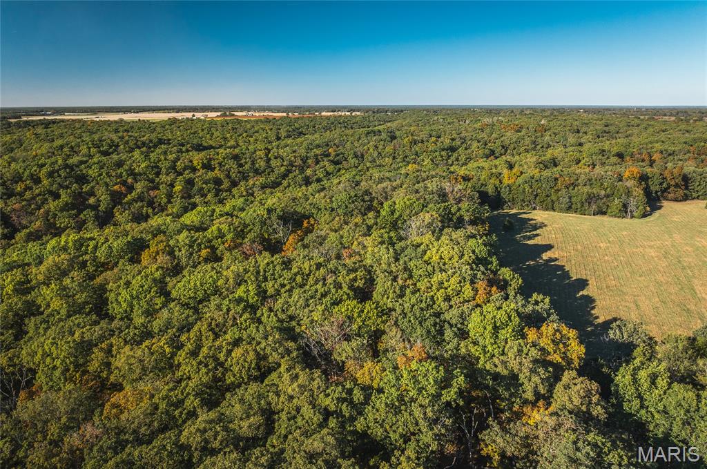 0 County Road 4055 Rhineland, MO 65069 - Photo 25 of 50