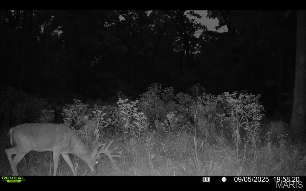 0 County Road 4055 Rhineland, MO 65069 - Photo 26 of 50