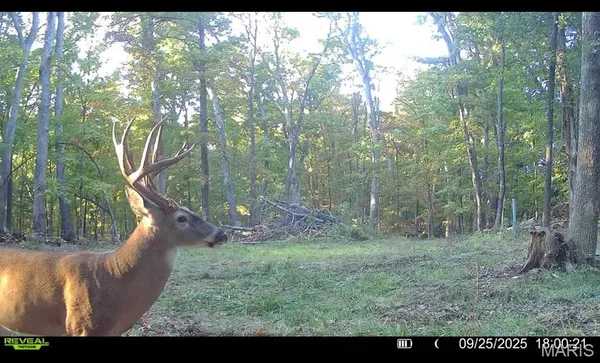 $455,000 | 0 County Road 4055, Rhineland, MO 65069