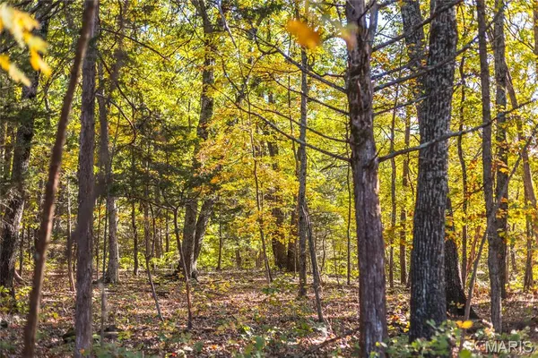 $455,000 | 0 County Road 4055, Rhineland, MO 65069