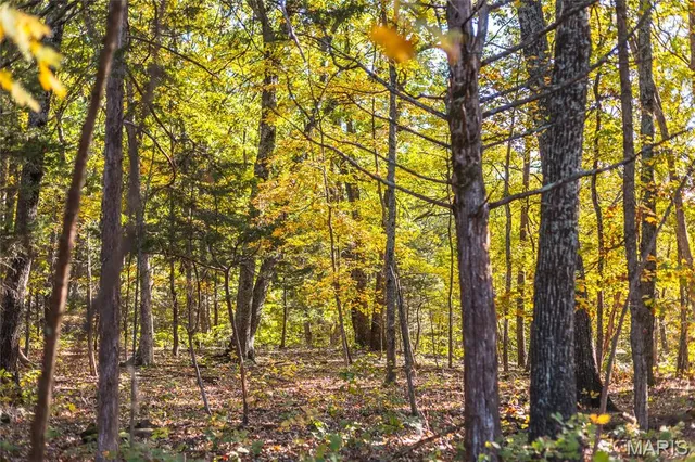 $455,000 | 0 County Road 4055, Rhineland, MO 65069