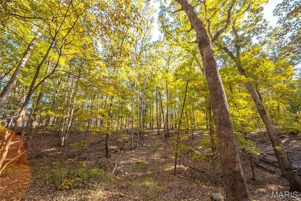 $455,000 | 0 County Road 4055, Rhineland, MO 65069