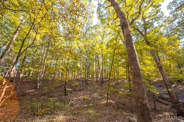 $455,000 | 0 County Road 4055, Rhineland, MO 65069