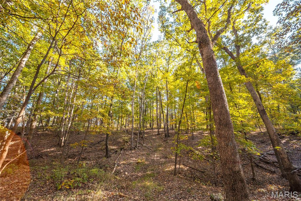 0 County Road 4055 Rhineland, MO 65069 - Photo 29 of 50