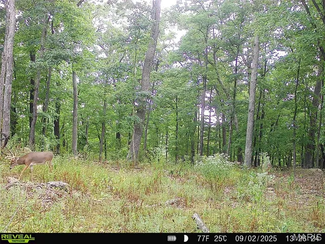 $455,000 | 0 County Road 4055, Rhineland, MO 65069