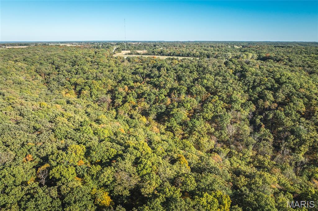 0 County Road 4055 Rhineland, MO 65069 - Photo 32 of 50