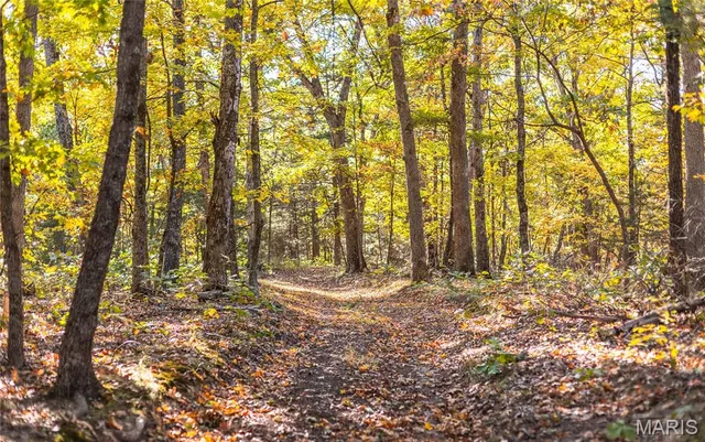 $455,000 | 0 County Road 4055, Rhineland, MO 65069