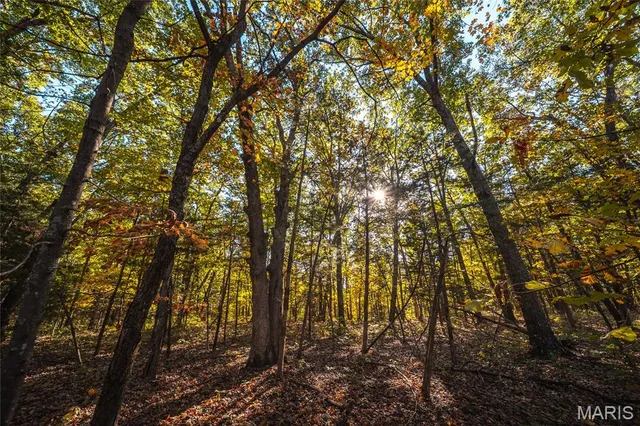 $455,000 | 0 County Road 4055, Rhineland, MO 65069