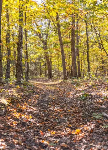 $455,000 | 0 County Road 4055, Rhineland, MO 65069