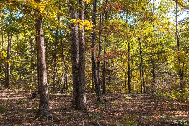 $455,000 | 0 County Road 4055, Rhineland, MO 65069