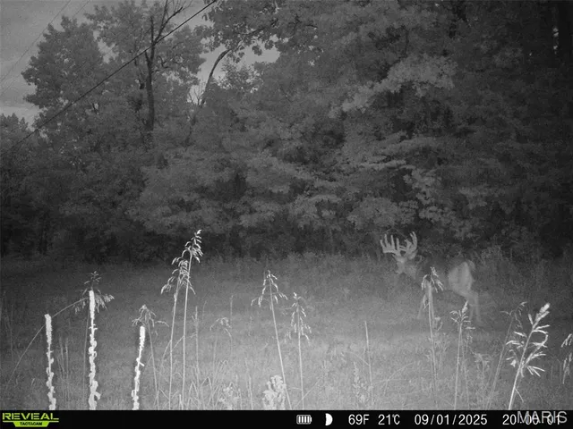 $455,000 | 0 County Road 4055, Rhineland, MO 65069