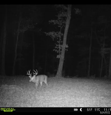 $455,000 | 0 County Road 4055, Rhineland, MO 65069