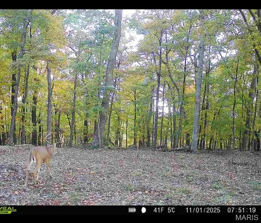 $455,000 | 0 County Road 4055, Rhineland, MO 65069