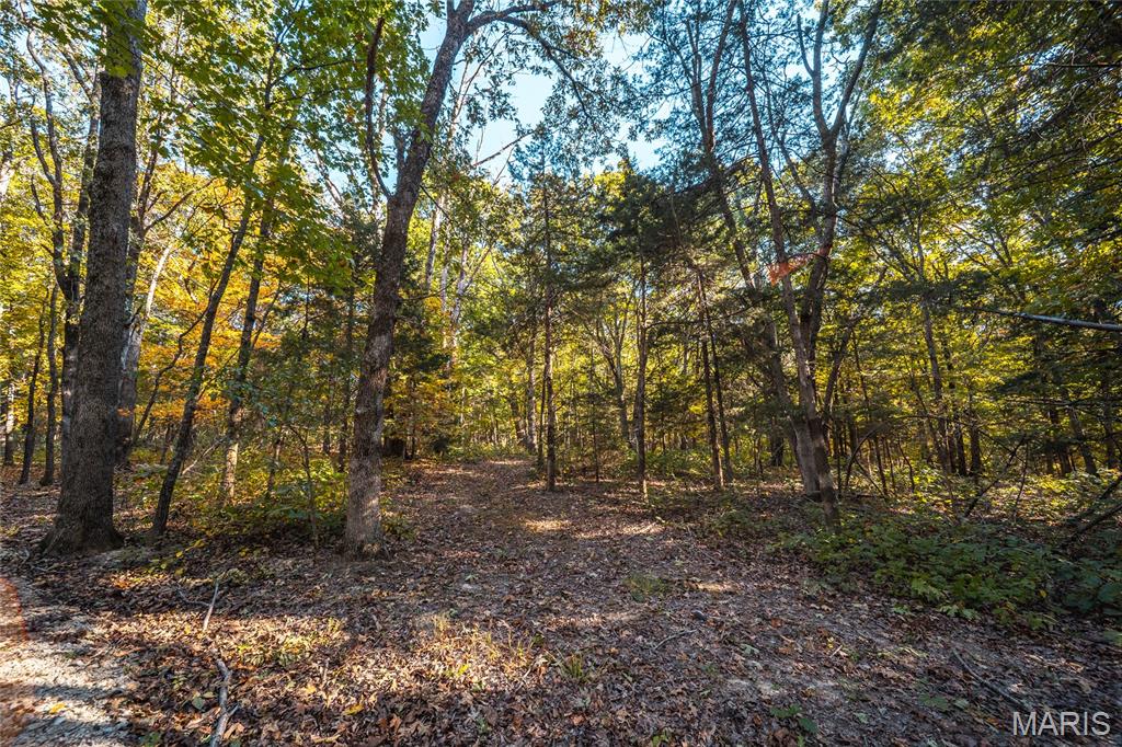 0 County Road 4055 Rhineland, MO 65069 - Photo 45 of 50