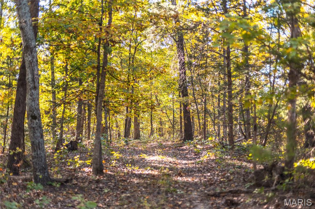 0 County Road 4055 Rhineland, MO 65069 - Photo 46 of 50