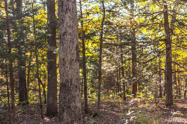 $455,000 | 0 County Road 4055, Rhineland, MO 65069