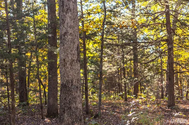 $455,000 | 0 County Road 4055, Rhineland, MO 65069