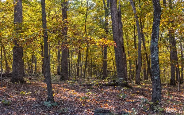 $455,000 | 0 County Road 4055, Rhineland, MO 65069