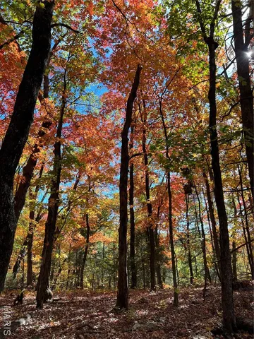 $455,000 | 0 County Road 4055, Rhineland, MO 65069