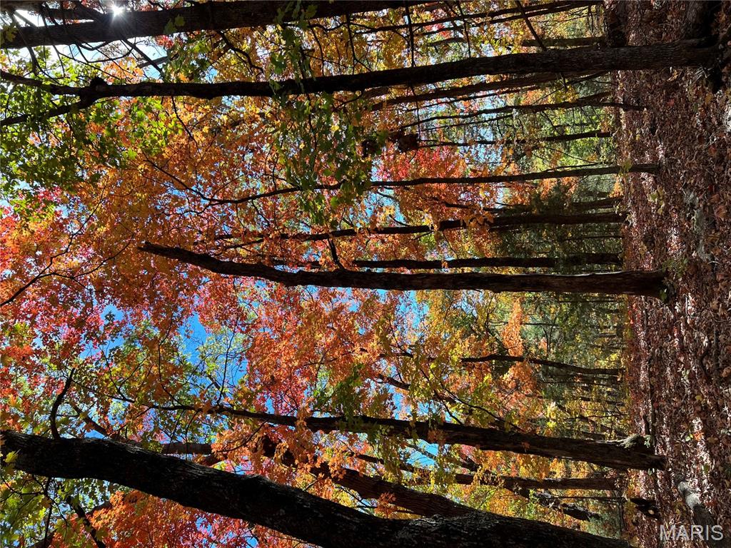 0 County Road 4055 Rhineland, MO 65069 - Photo 50 of 50