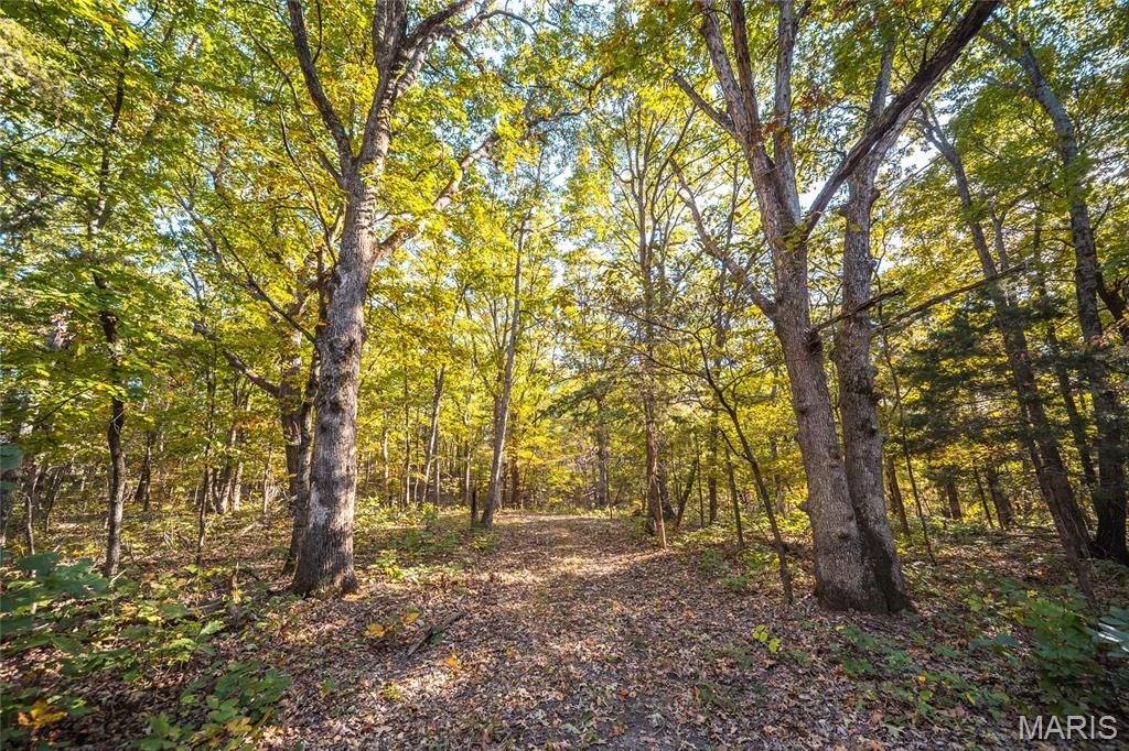 0 County Road 4055 Rhineland, MO 65069 - Photo 9 of 50