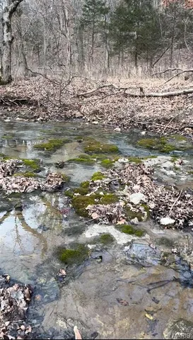 $455,000 | 0 County Road 4055, Rhineland, MO 65069