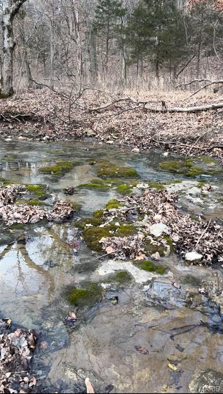 0 County Road 4055 Rhineland, MO 65069 - Photo 10 of 50