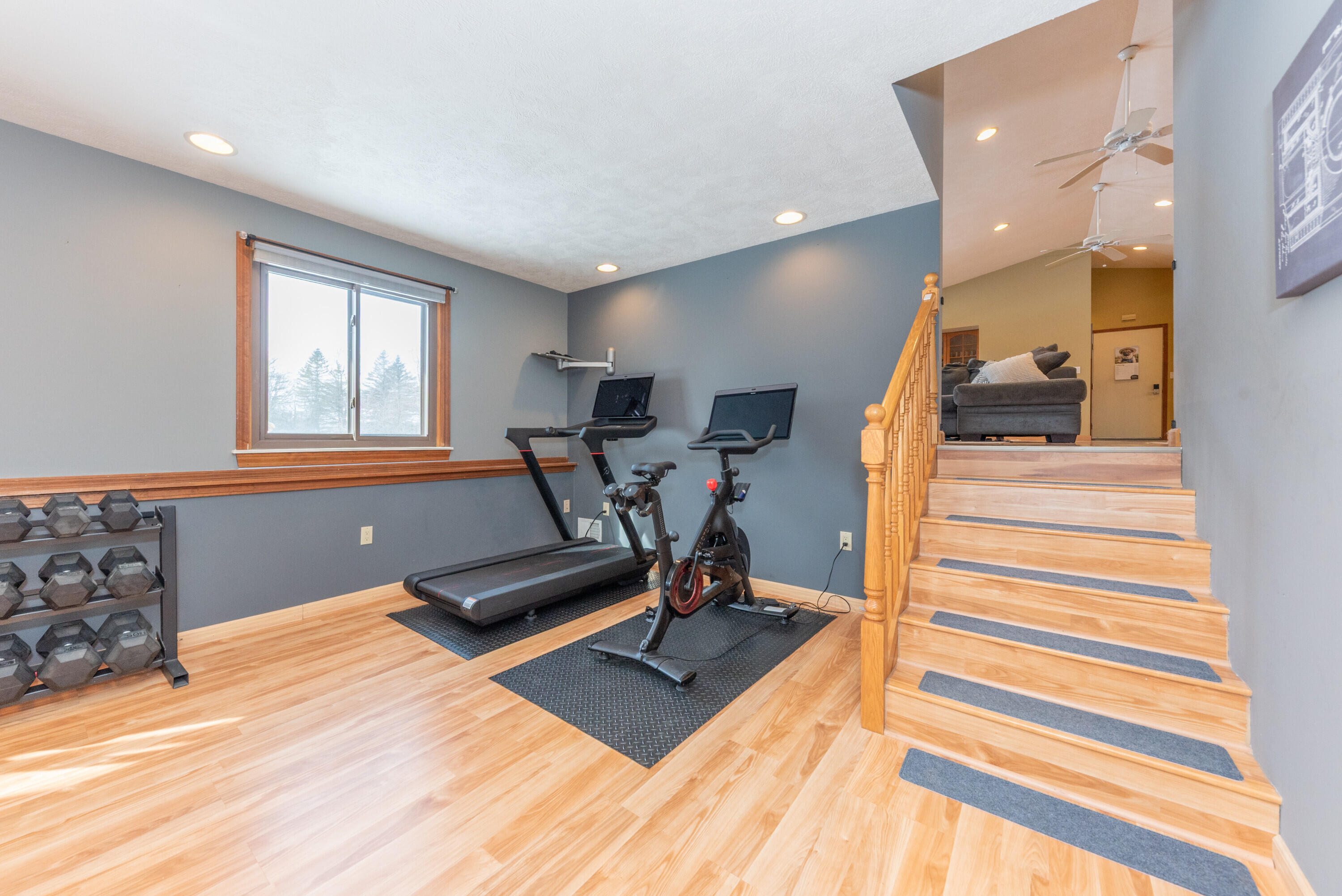 8655 Joeys Drive Pinckney, MI 48169 - Photo 31 of 66 29 Lower level 1