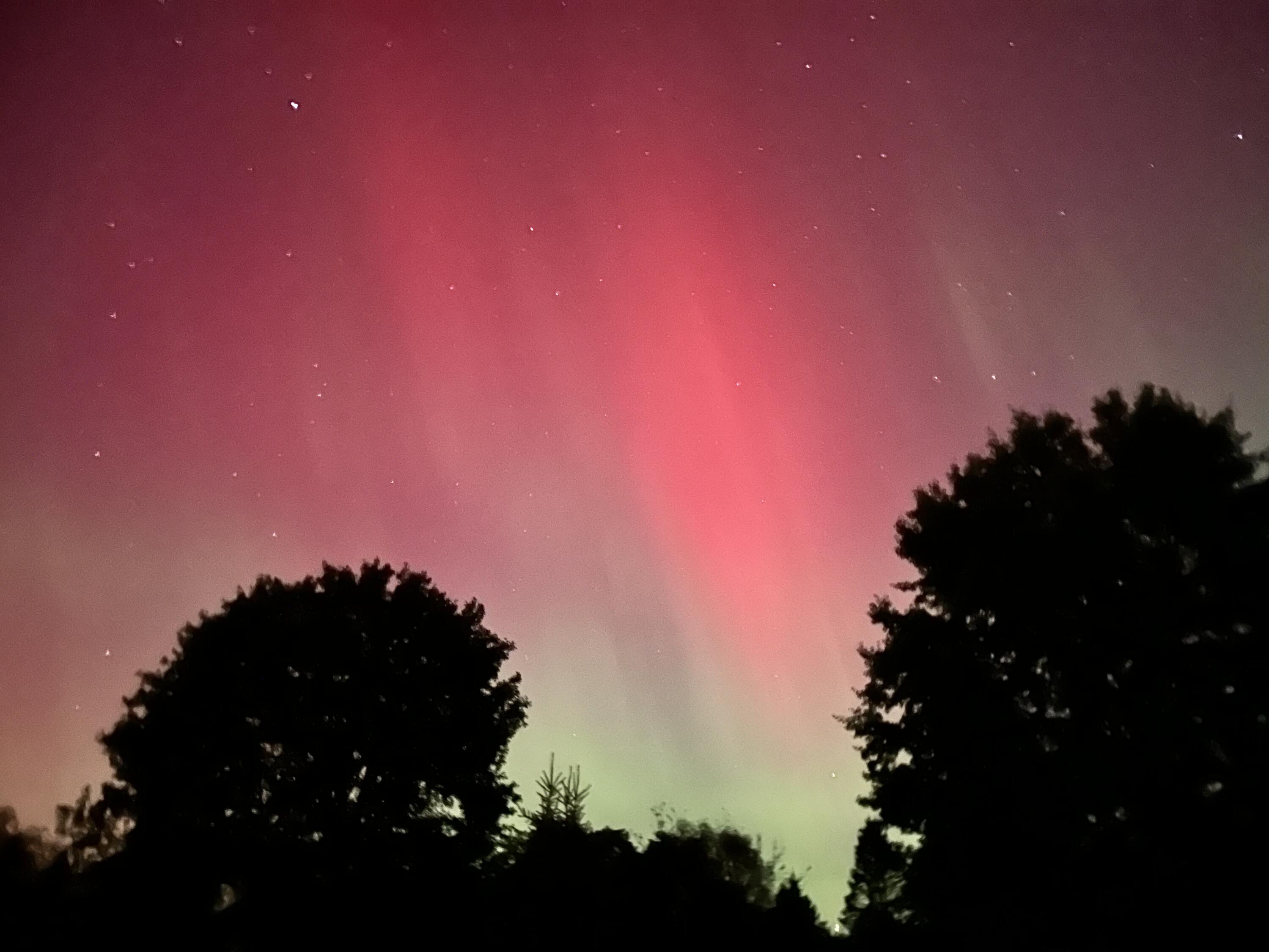 8655 Joeys Drive Pinckney, MI 48169 - Photo 48 of 66 8655 Joey northern lights