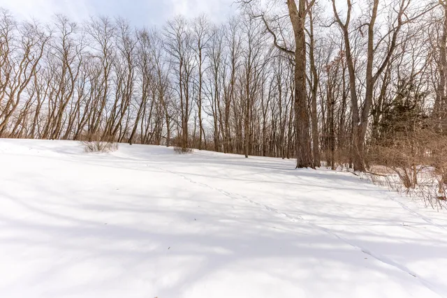 $659,000 | 8655 Joeys Drive, Pinckney, MI 48169