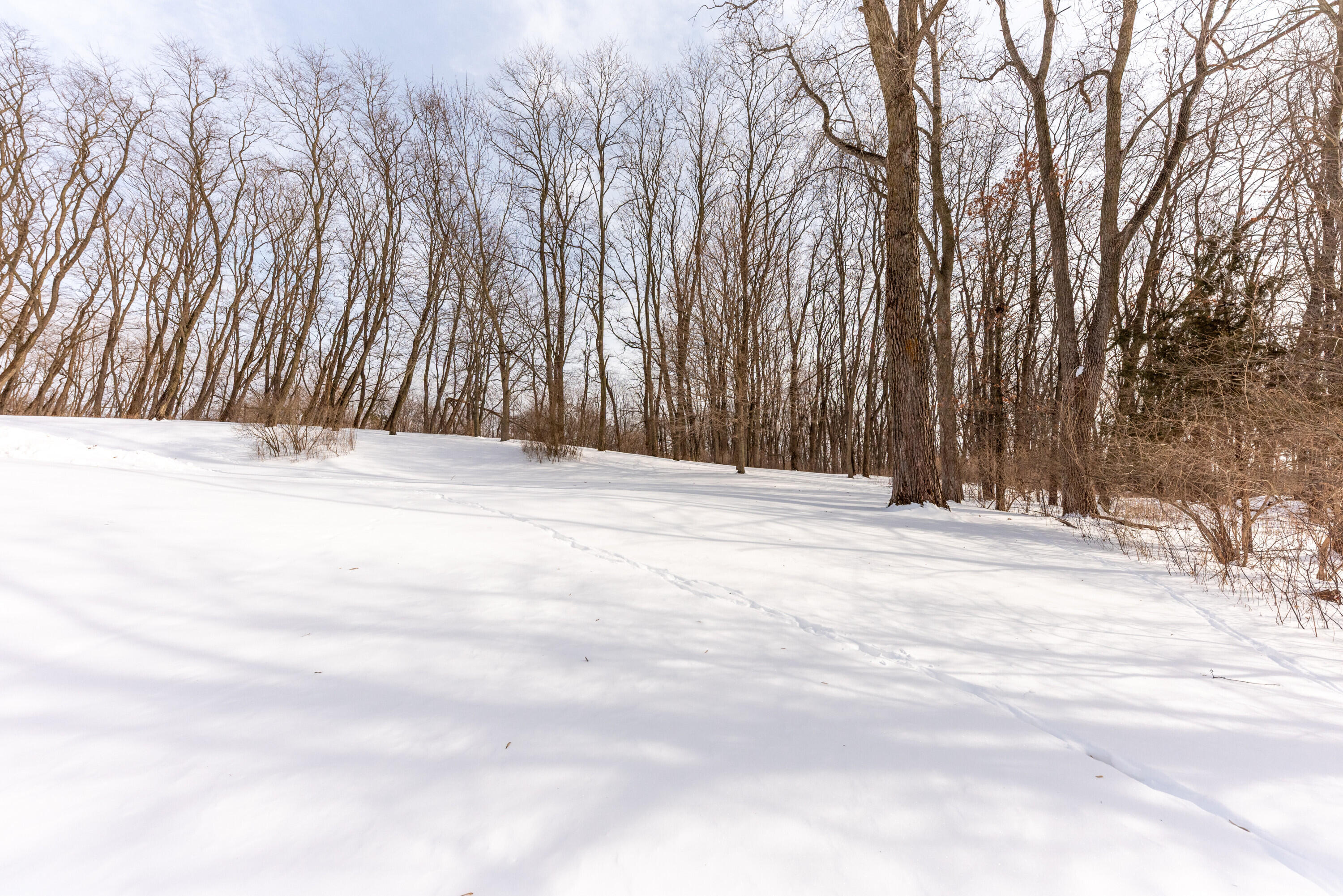 8655 Joeys Drive Pinckney, MI 48169 - Photo 53 of 66 Back yard