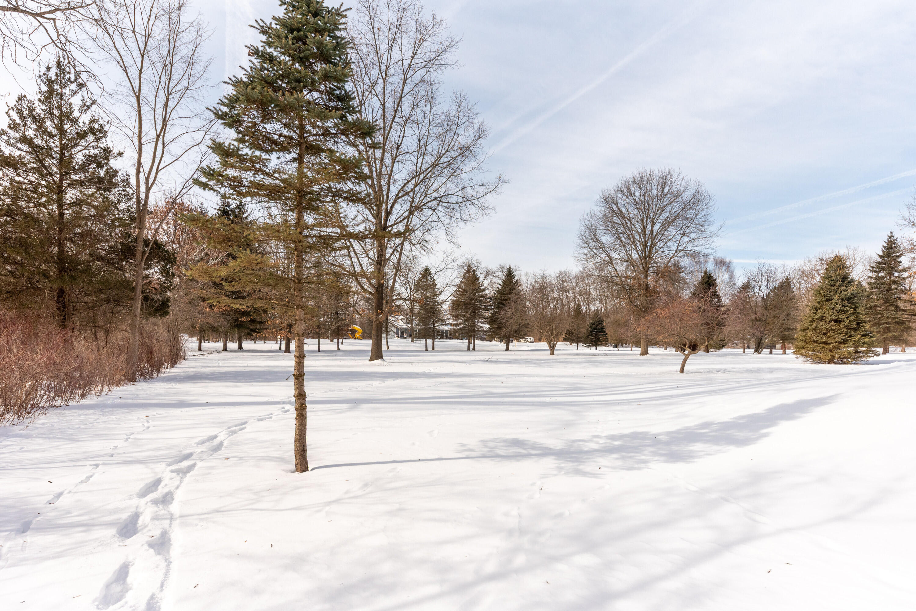 8655 Joeys Drive Pinckney, MI 48169 - Photo 58 of 66 Front yard