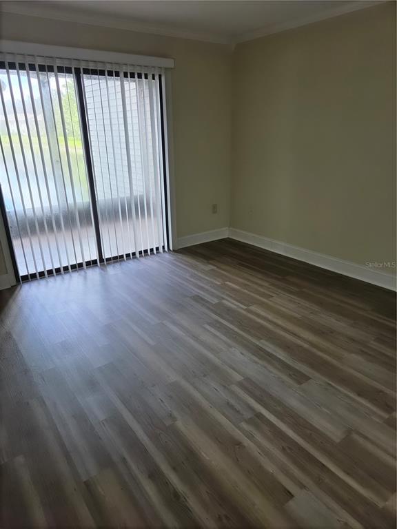 12025 Proctor Loop, Unit 2 New Port Richey, FL 34654 - Photo 7 of 14 Gallery Image 7