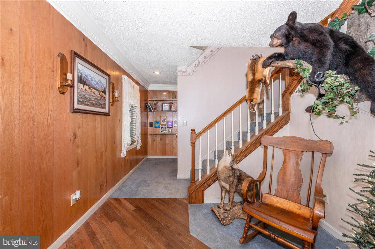 461 Old Waynesboro Road Fairfield, PA 17320 - Photo 9 of 85 Gallery Image 9