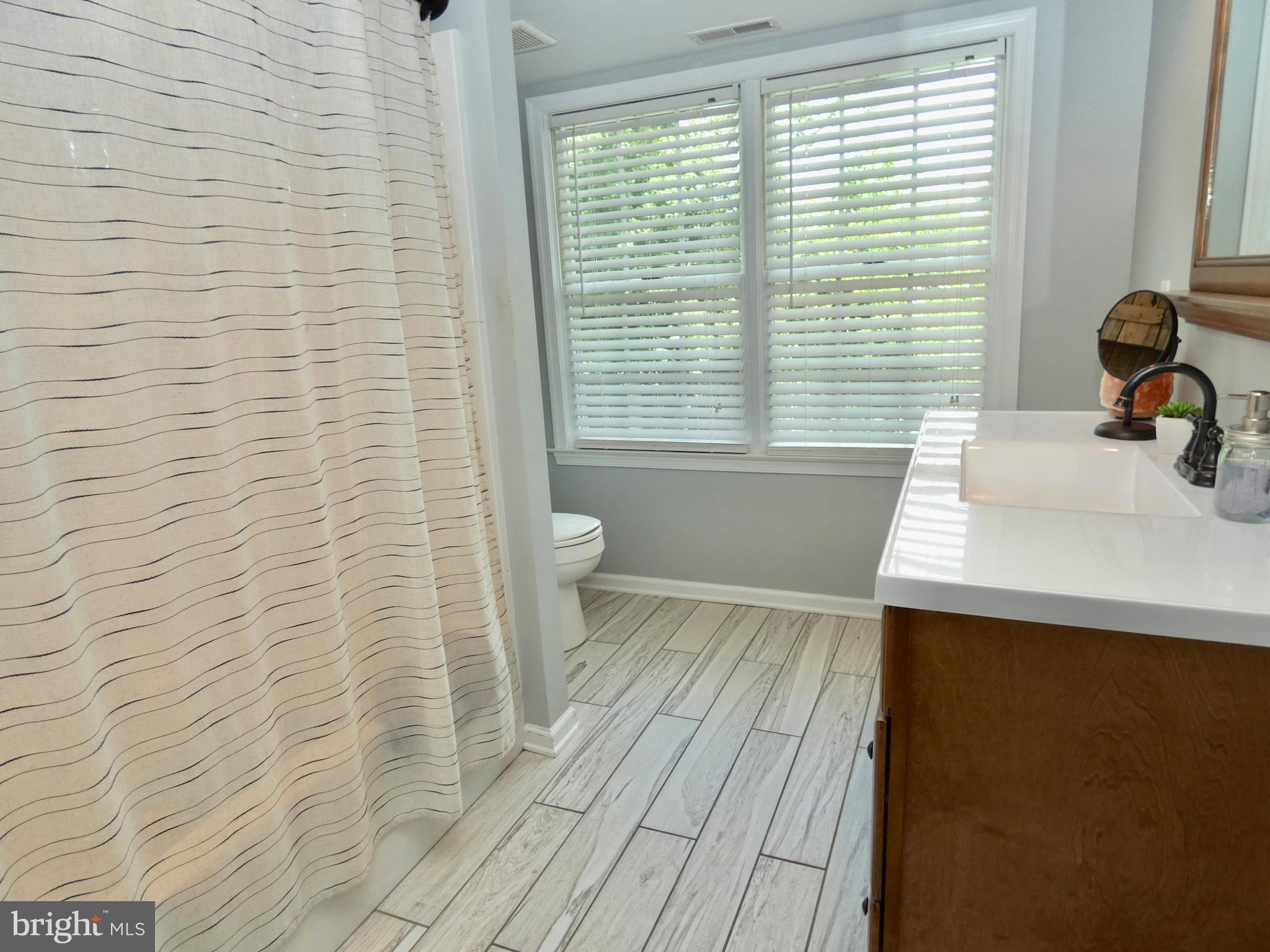 23840 Bridgetown Road Henderson, MD 21640 - Photo 34 of 54 Master Bathroom
