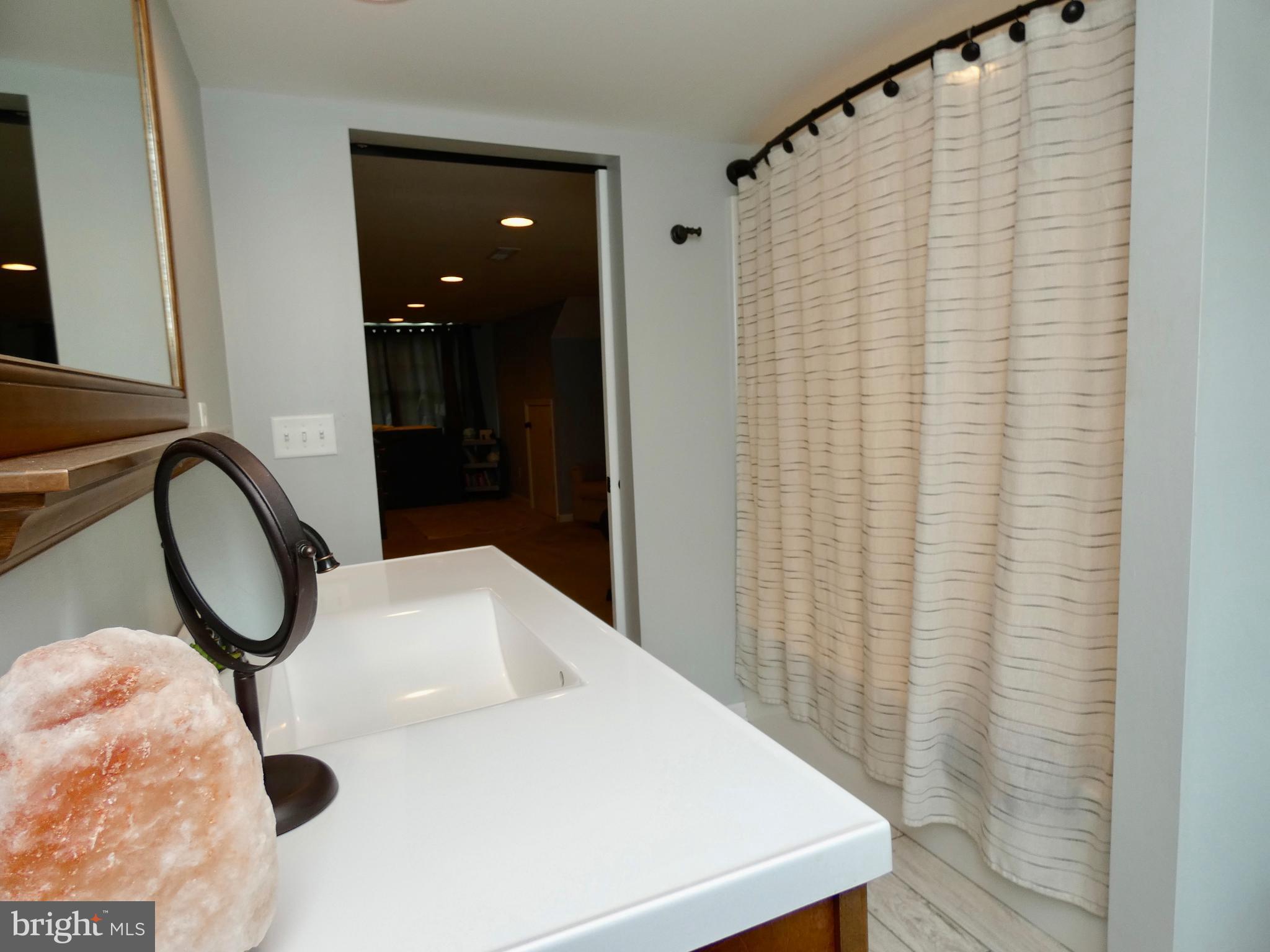 23840 Bridgetown Road Henderson, MD 21640 - Photo 35 of 54 Master Bathroom